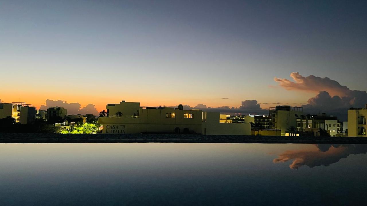 Pavo Real - Hotel Playa del Carmen