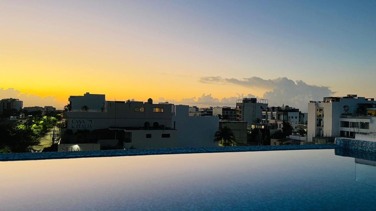 Pavo Real - Hotel Playa del Carmen